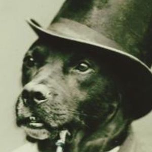 Meet your Posher, Ben